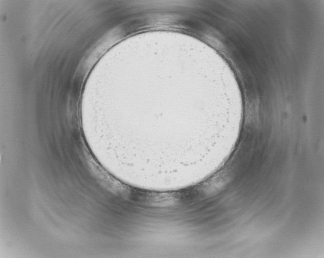 X0000054451338200508191627