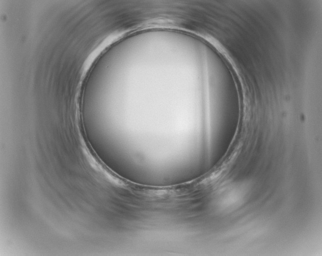 X0000054451341200508191627