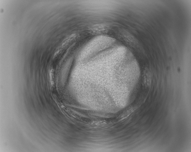 X0000054451346200508191626