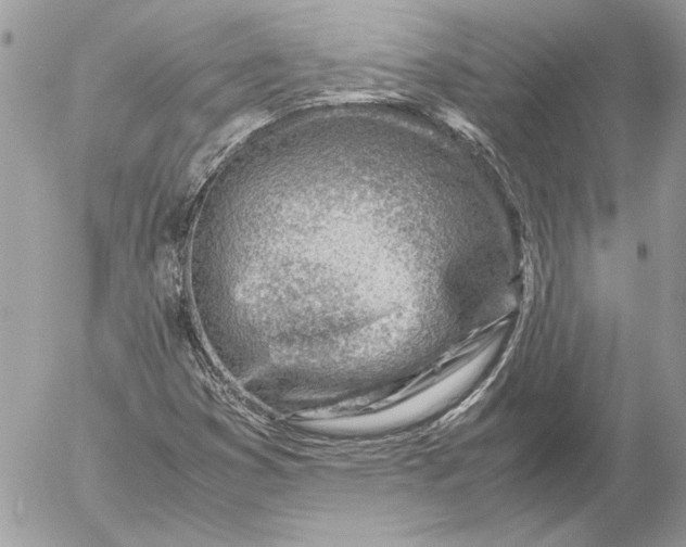 X0000054451353200508191626