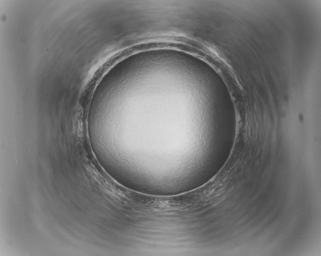 X0000054451360200508191626