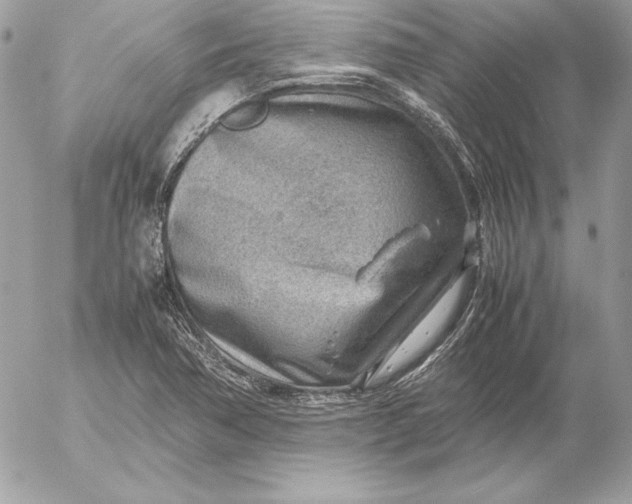X0000054451362200508191626