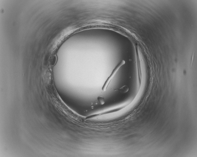X0000054451363200508191626