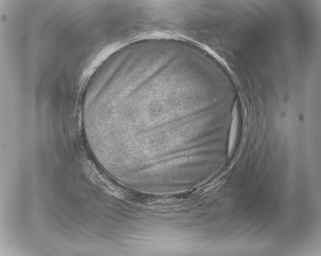 X0000054451367200508191626