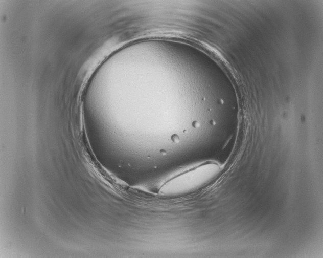 X0000054451371200508191626