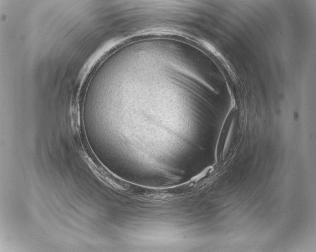 X0000054451372200508191626