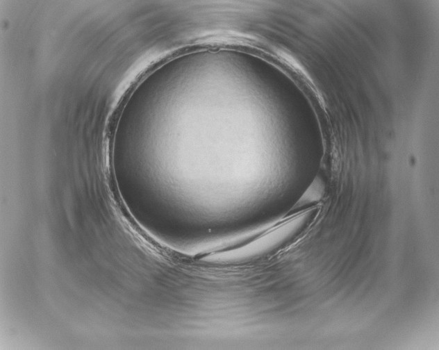 X0000054451376200508191626
