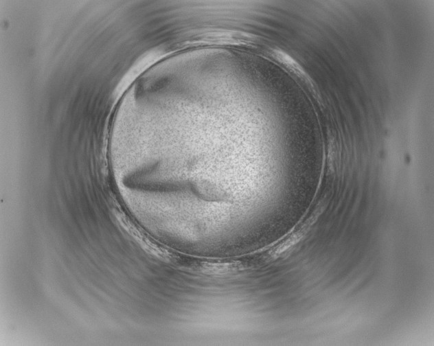 X0000054451378200508191626