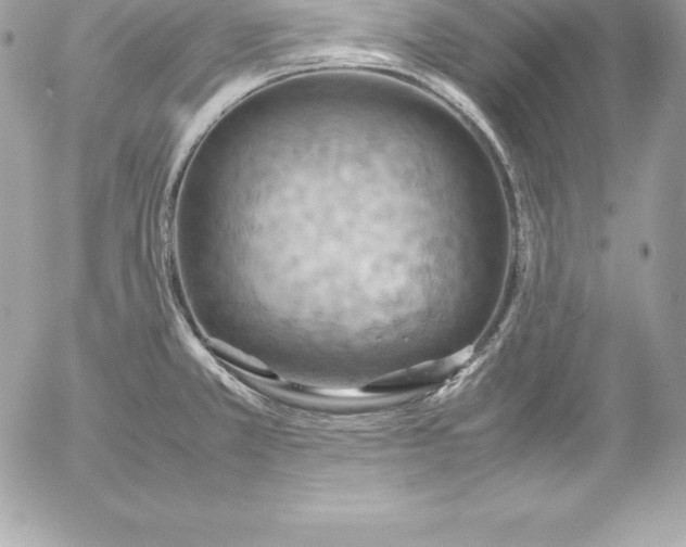 X0000054451381200508191626