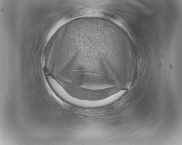 X0000054451383200508191626
