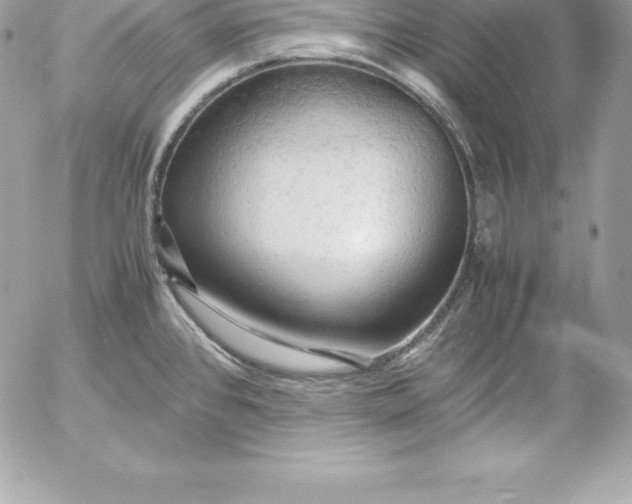 X0000054451384200508191626