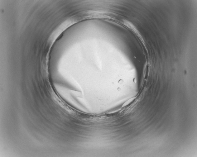 X0000054451386200508191625