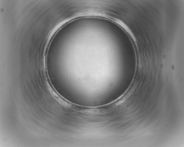 X0000054451388200508191625