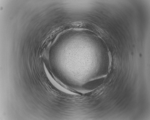 X0000054451394200508191625