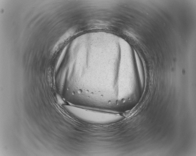X0000054451403200508191625