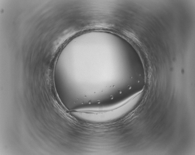 X0000054451404200508191625