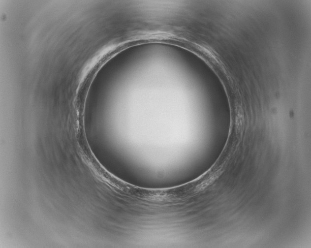 X0000054451414200508191625