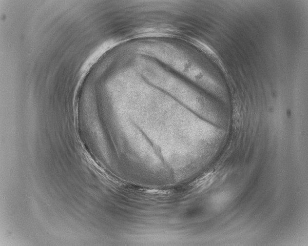 X0000054451419200508191625
