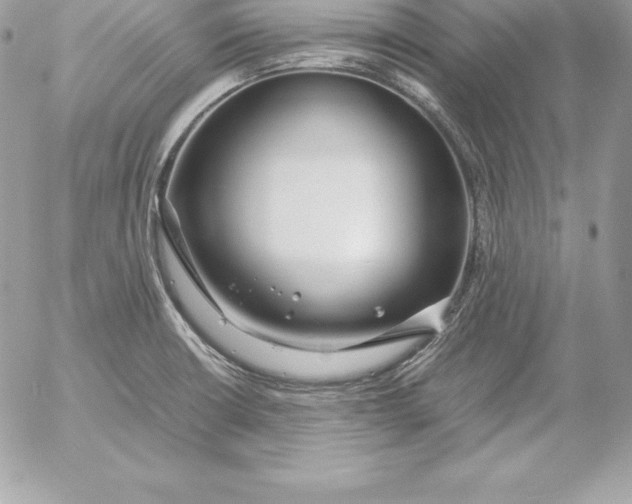 X0000054451426200508191625