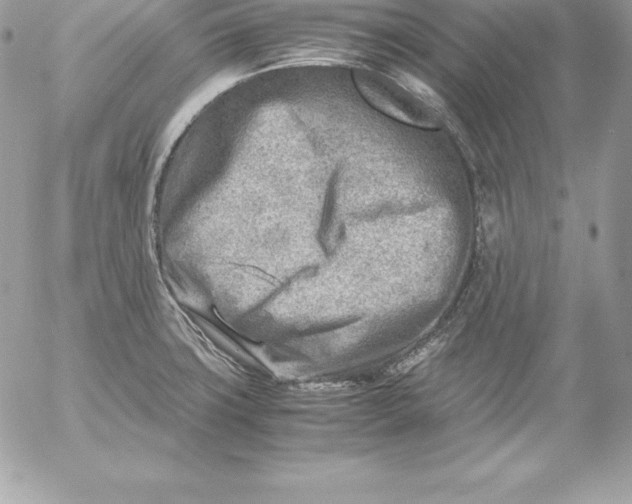 X0000054451427200508191625