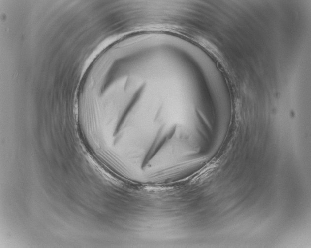 X0000054451428200508191625