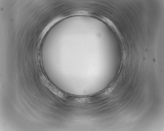 X0000054451435200508191625