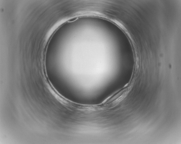 X0000054451438200508191625