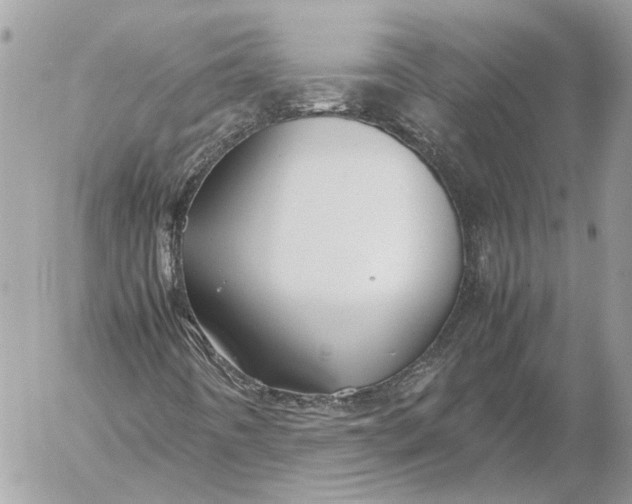 X0000054451442200508191625
