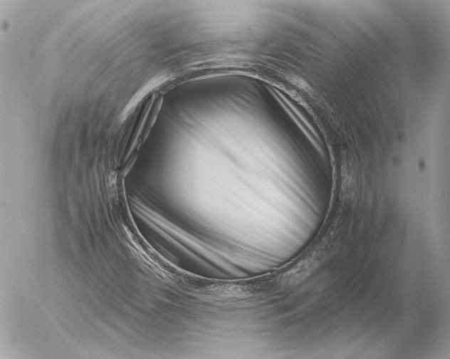 X0000054451450200508191624