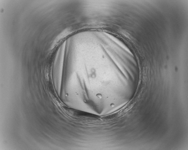 X0000054451451200508191624