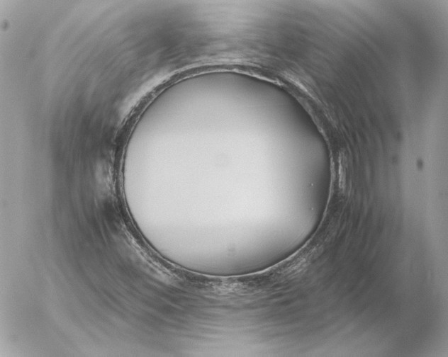 X0000054451452200508191624