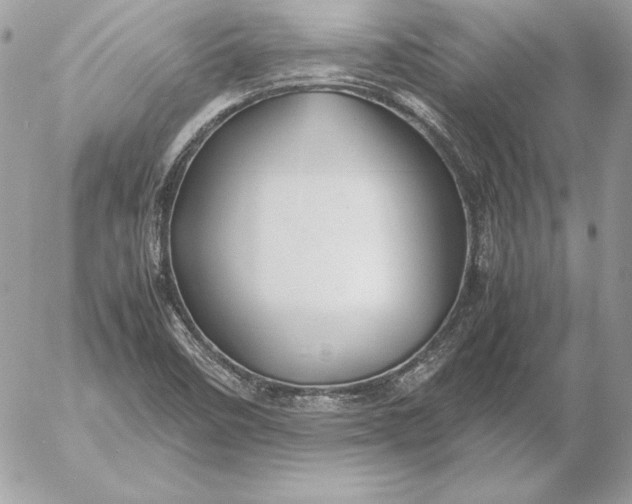 X0000054451458200508191624