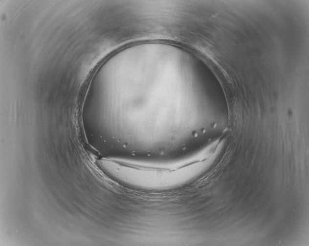 X0000054451460200508191624