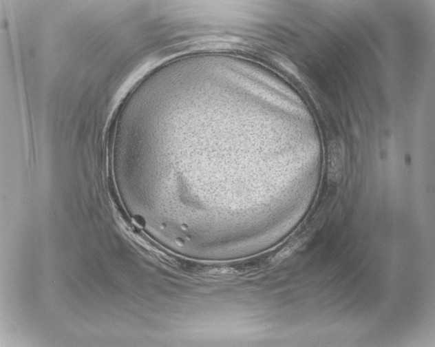 X0000054451467200508191624