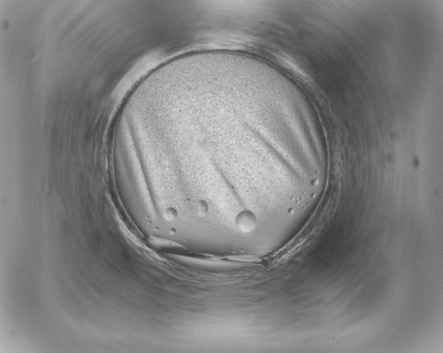 X0000054451471200508191624