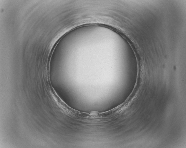 X0000054451513200508191623