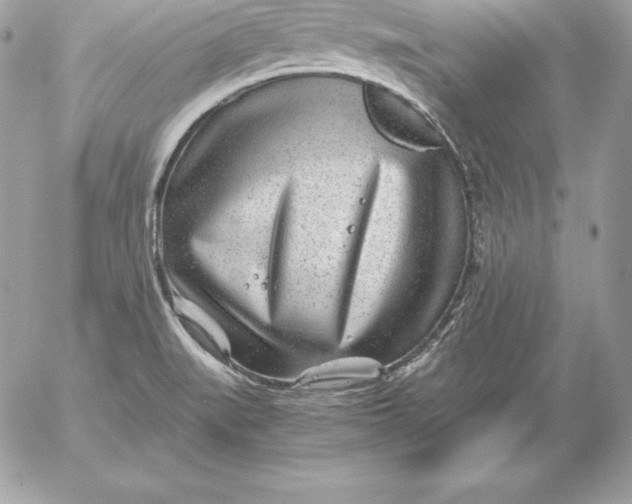 X0000054451519200508191624