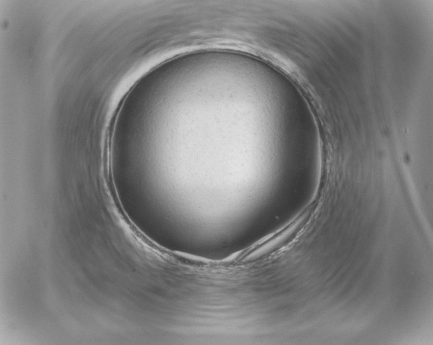 X0000054451520200508191624
