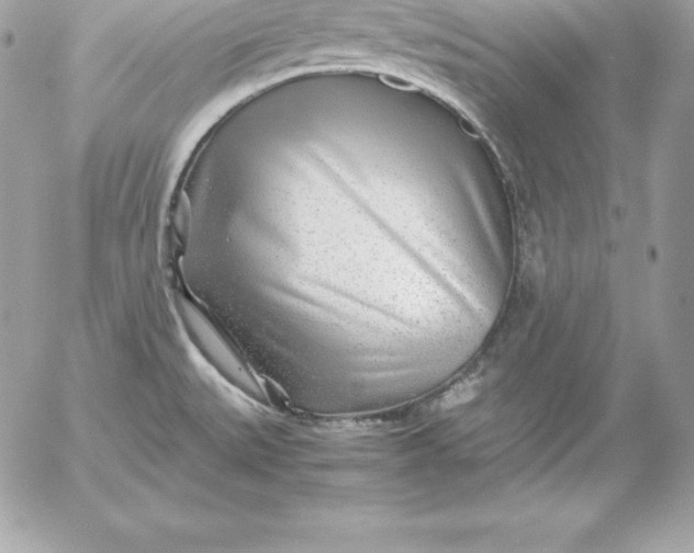 X0000054451527200508191624