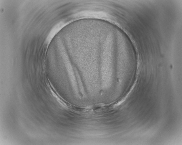 X0000054451529200508191624