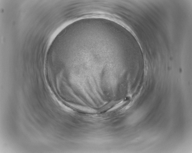 X0000054451533200508191624