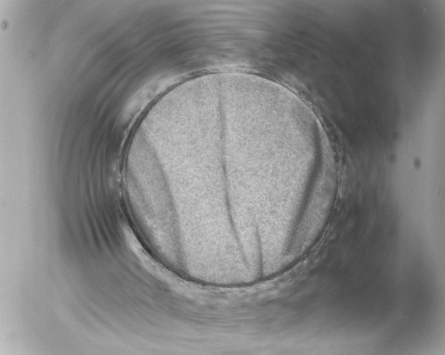 X0000054450002200508270050