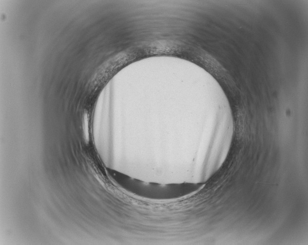 X0000054450022200508270050