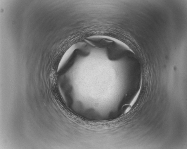X0000054450029200508270050