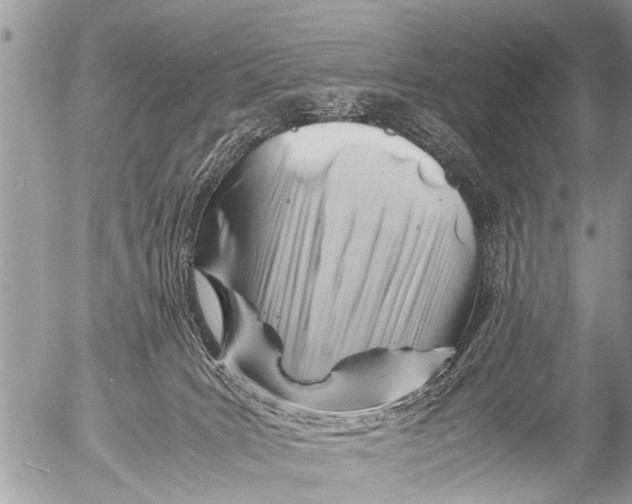 X0000054450035200508270050