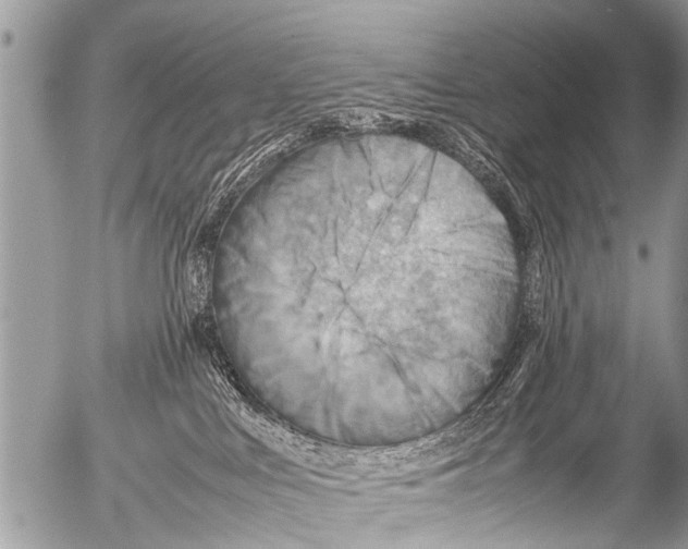 X0000054450043200508270050