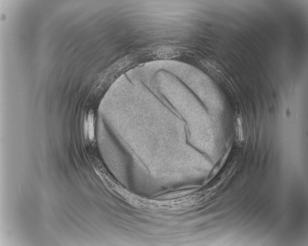 X0000054450046200508270050