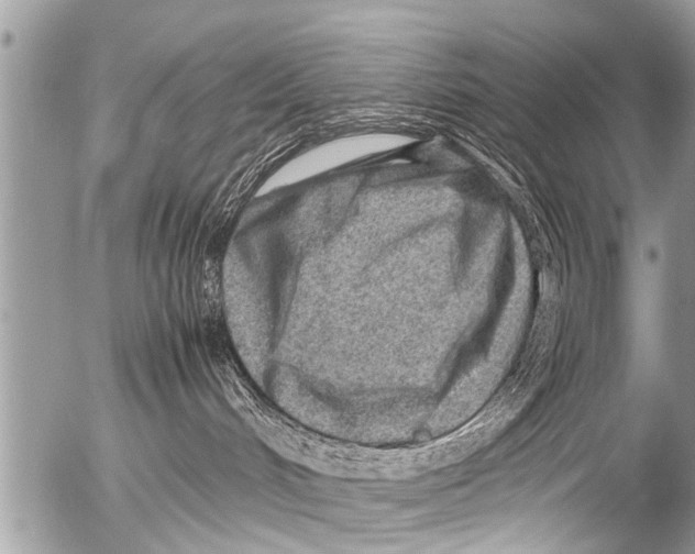 X0000054450048200508270050
