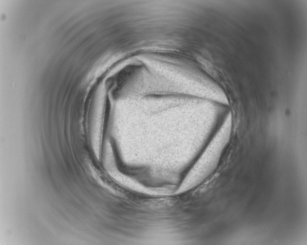 X0000054450050200508270049