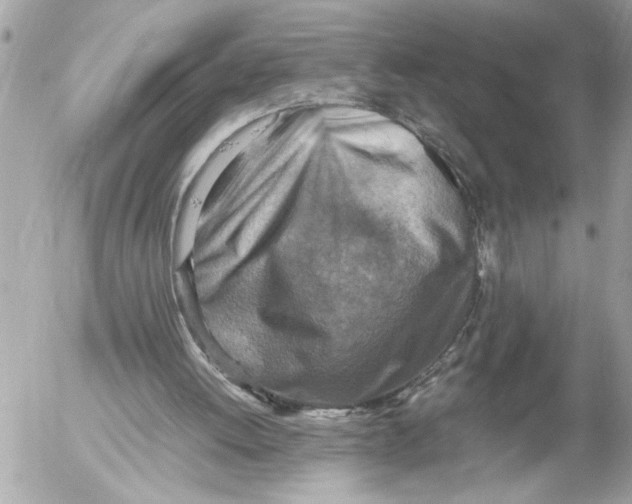 X0000054450052200508270049